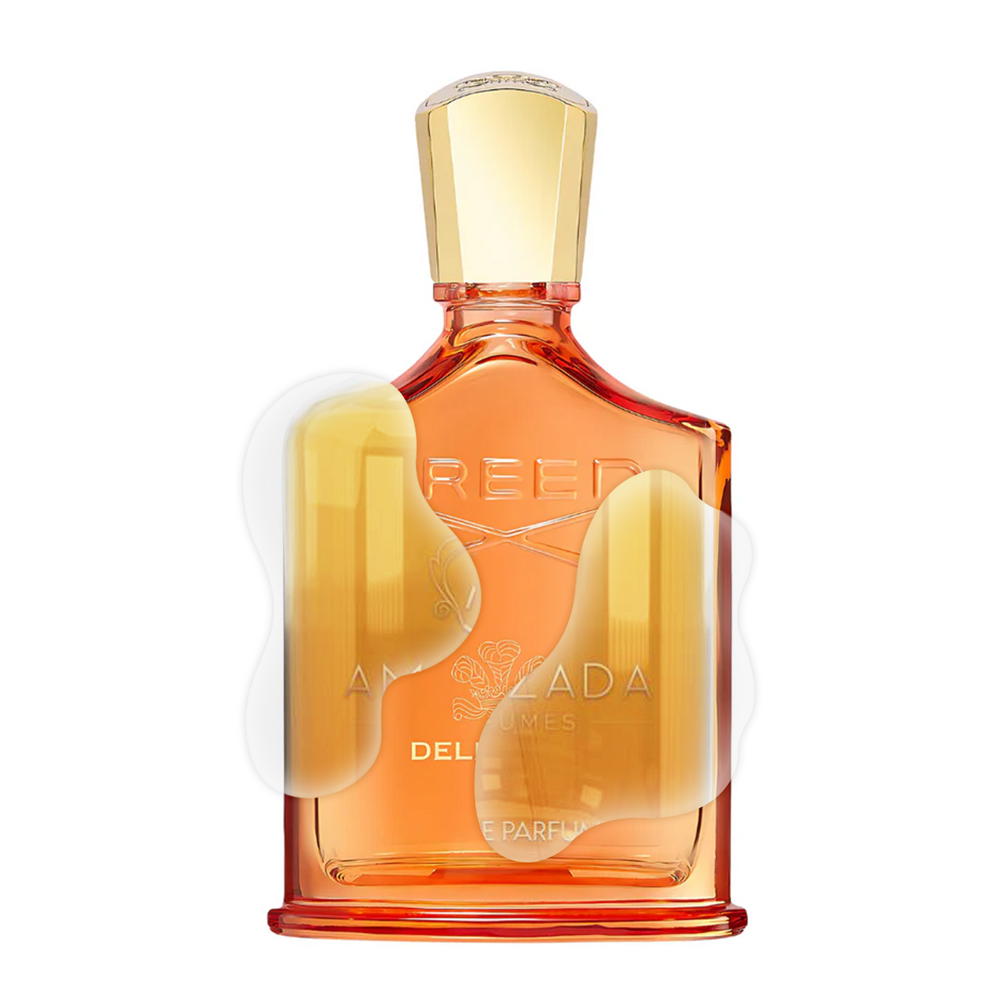 Impression of Delphinus - Creed - Eau de Parfum 100ml